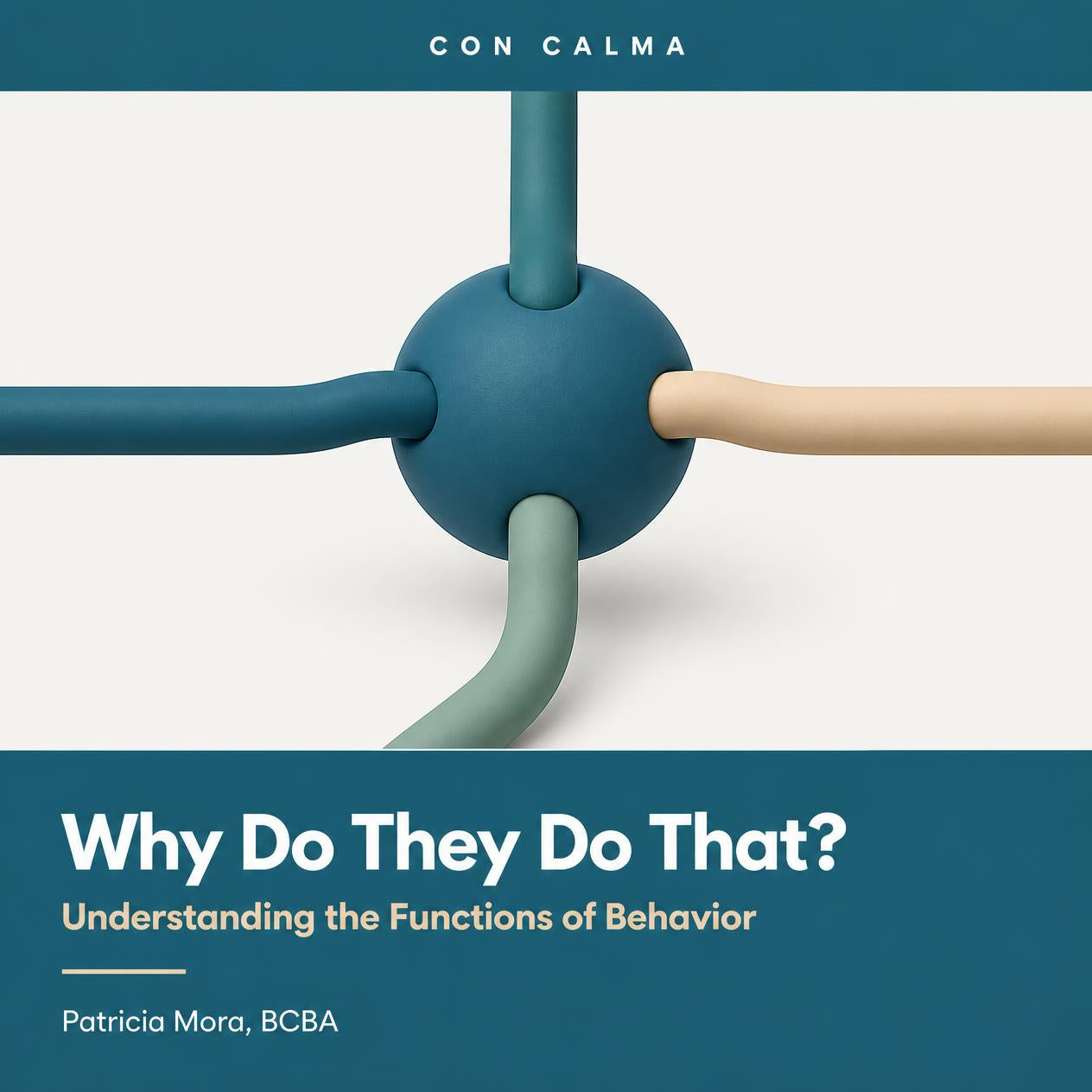 Why Do They Do That? Understanding the Functions of Behavior